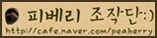 팬카페:피베리조작단