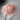 id: cinnamon