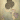 id: 긍정소녀